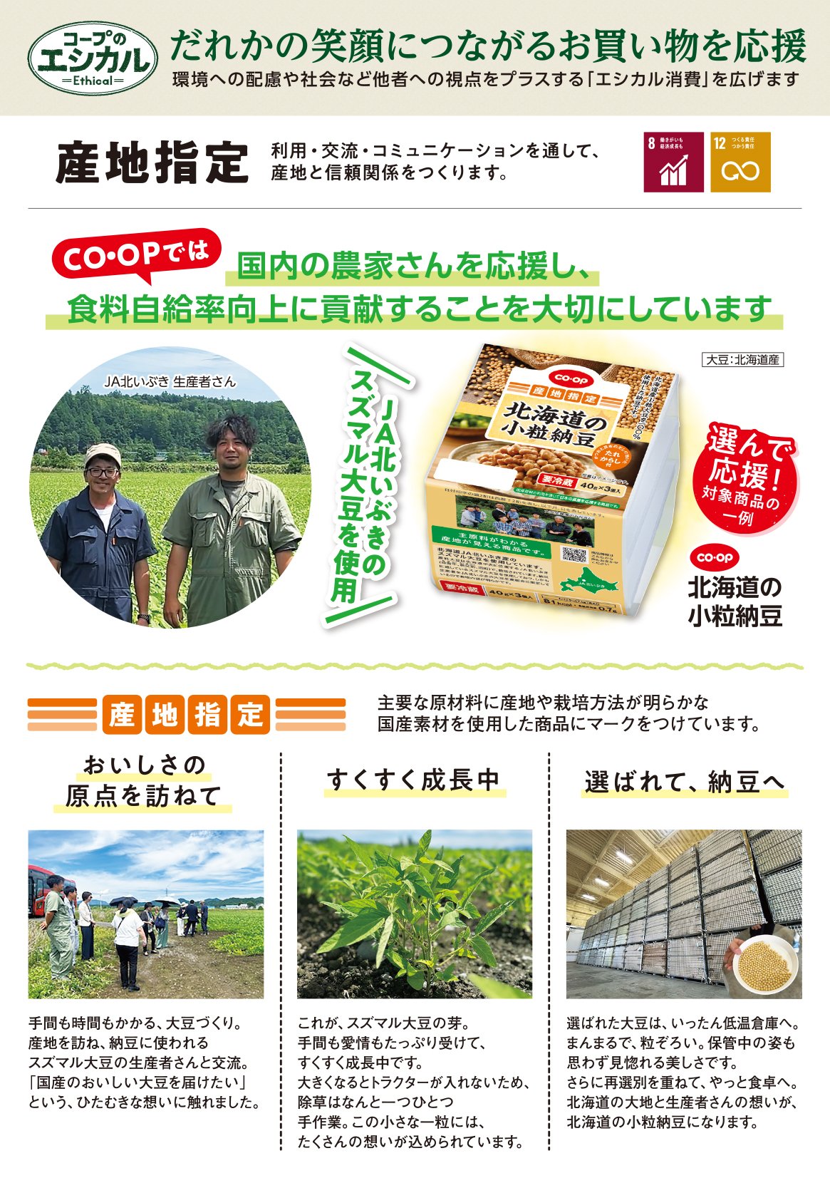店舗チラシ