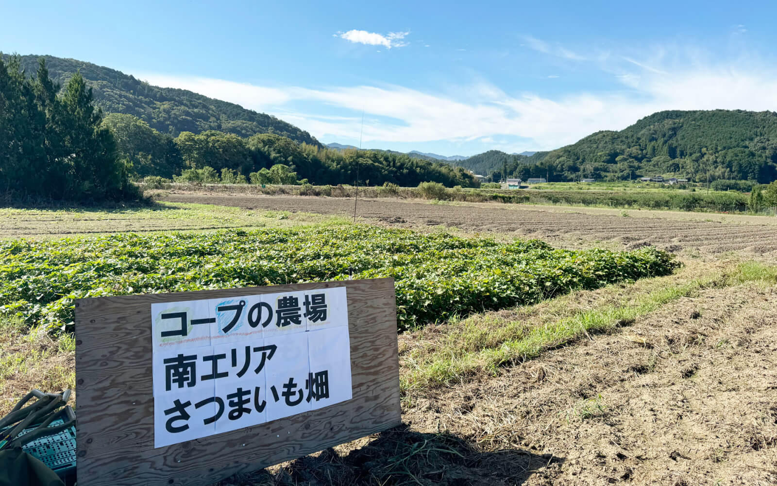 休耕田を活用したならコープ直営農場「コープの農場」とは