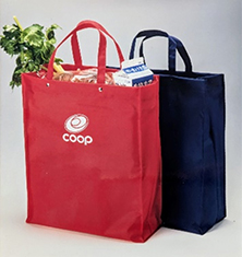 環境資金活用の背景