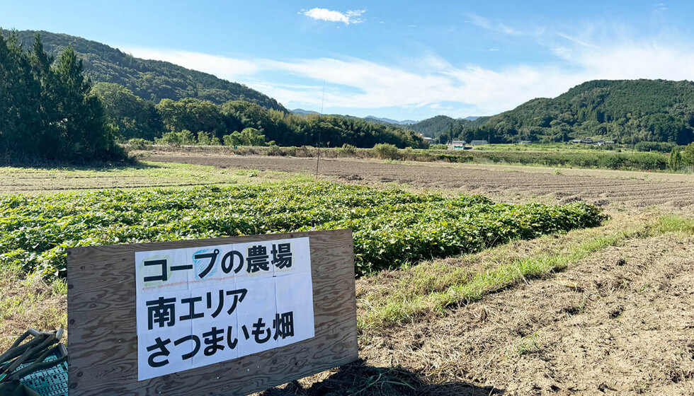 休耕地を活用した、ならコープ直営農場。