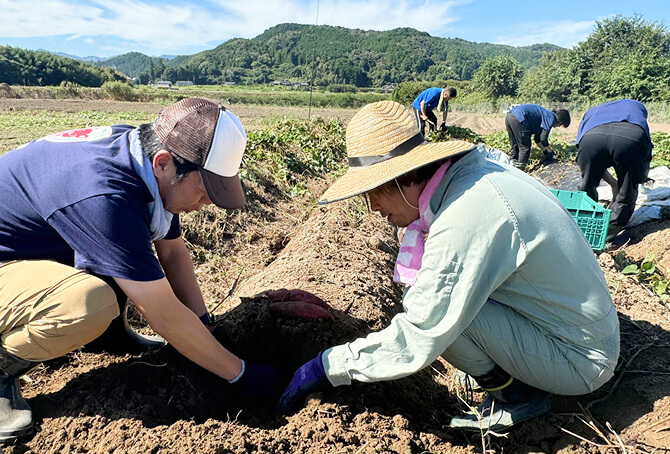 休耕地を活用した、ならコープ直営農場。