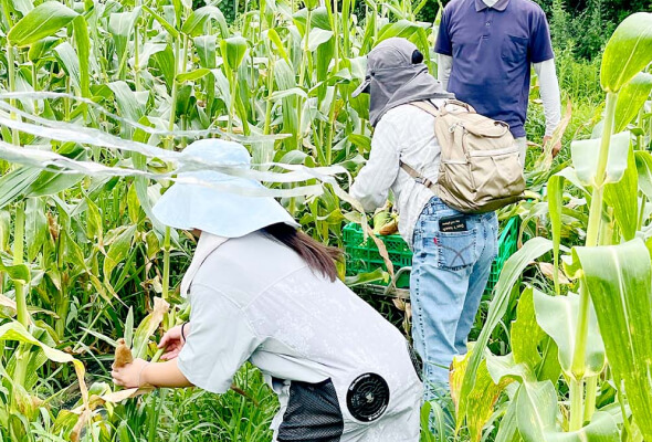 職員・組合員の就農体験