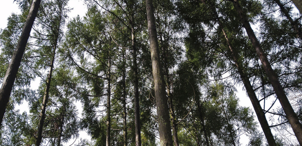 吉野共生プロジェクト