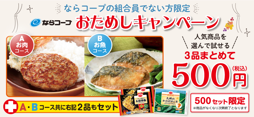 ワンコインおためしCP