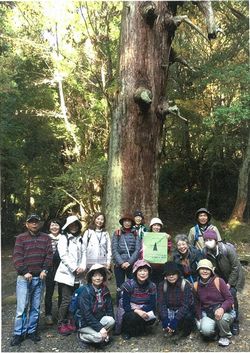 「春日原始林：巨樹巨木めぐりハイキング！」を開催しました