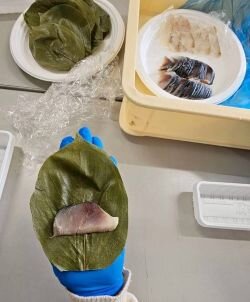 斑鳩・安堵コープ委員会：柿の葉ずしの葉巻き体験とくずもち作り