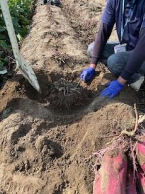 北エリア委員会：2025年度 第２回活動交流会を開催しました 