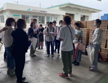 斑鳩・安堵コープ委員会：治道トマトの産地（大和郡山市）見学とケチャップ作り
