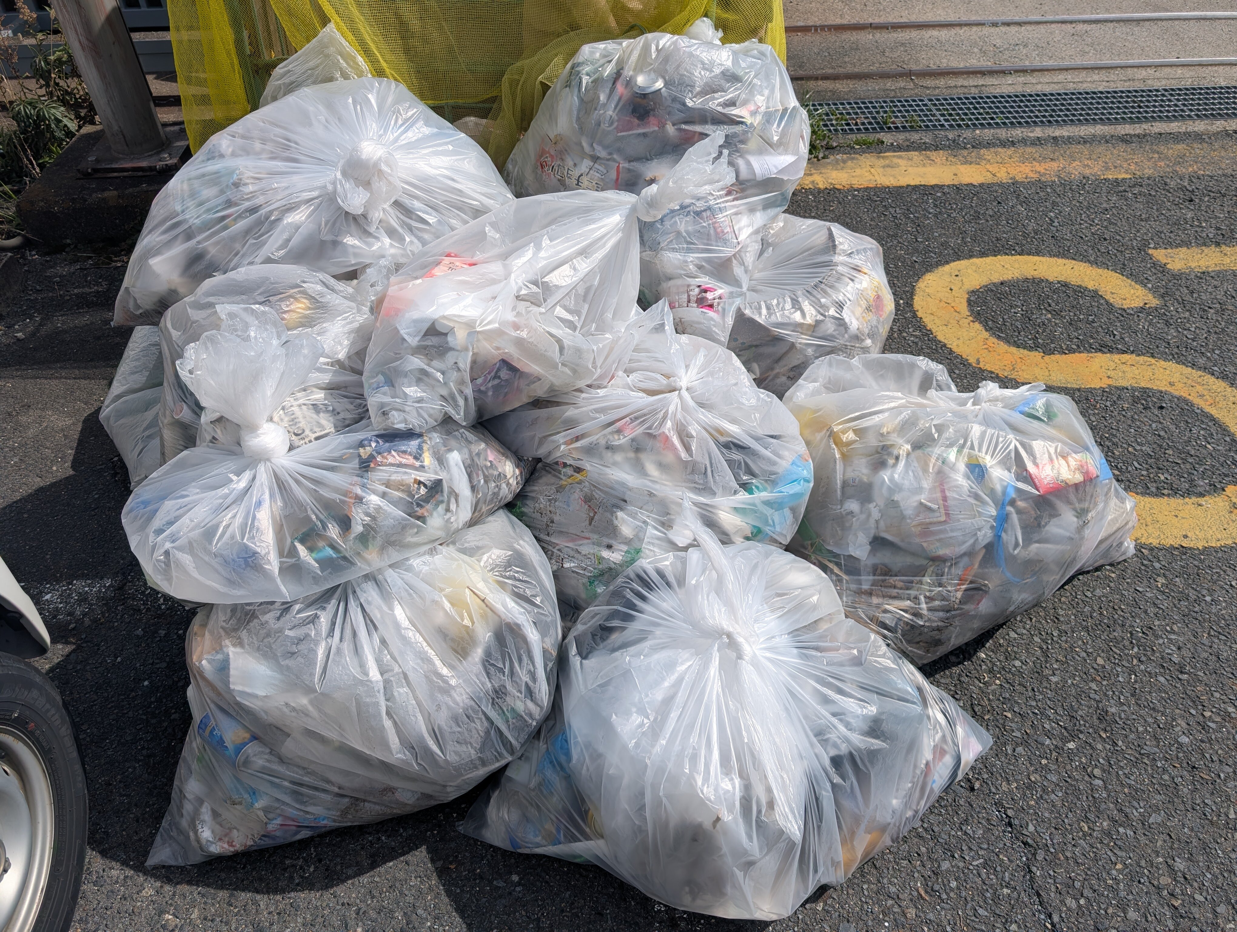 3/9（月）高田支所の職員で近くの川辺のごみ拾いを実施しました！