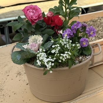 五條コープ委員会：毎年恒例の“寄せ植え”を楽しみました