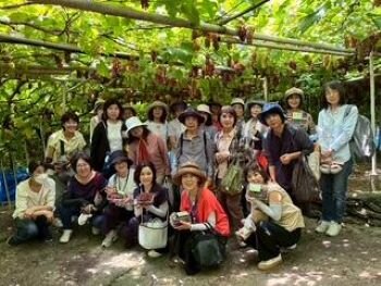 生駒北コープ委員会：(有)なかむら農園でデラウェアの収穫体験をしました