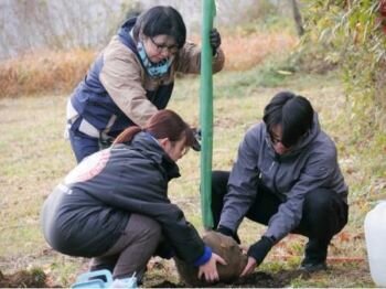 ＮＰＯ法人桜ライン311の植樹会に参加しました