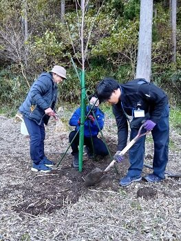認定特定非営利活動法人桜ライン311の秋の植樹会に参加しました